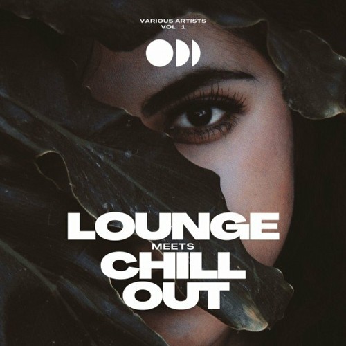 VA - Lounge Meets Chill Out, Vol. 1 (2022)