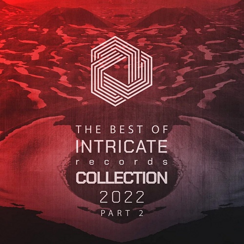 VA - The Best Of Intricate 2022 Collection, Pt. 2 (2022)