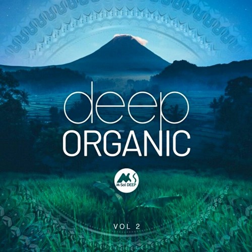 VA - Deep Organic Vol 2 (2023)