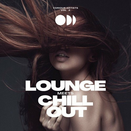 VA - Lounge Meets Chill Out, Vol. 2 (2023)