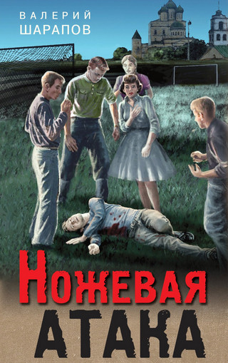 Павел Зверев. Цикл из 4 книг