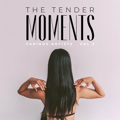 VA - The Tender Moments, Vol. 3 (2023)