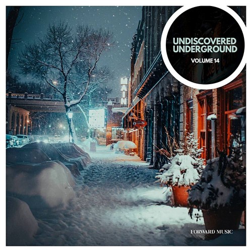 VA - Undiscovered Underground Vol 14 (2023)