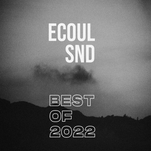 VA - Best of 2022 ECOUL SND (2022) FLAC