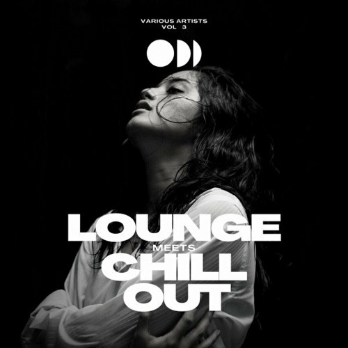 VA - Lounge Meets Chill Out, Vol. 3 (2023)