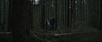 Тихий лес / The Silent Forest / Schweigend steht der Wald (2022/BDRip/HDRip)