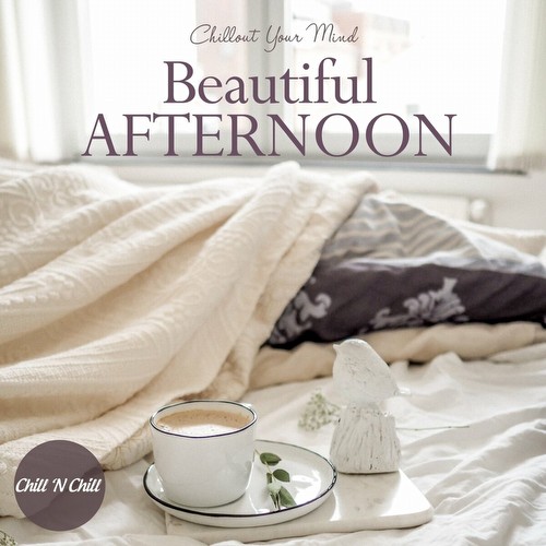 VA - Beautiful Afternoon: Chillout Your Mind (2023)