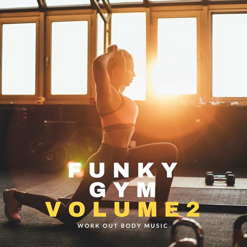 VA - Funky Gym Vol 2 (2023)