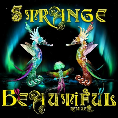 VA - Mojo Filter - Strange Beautiful Remixes (2022) (MP3)