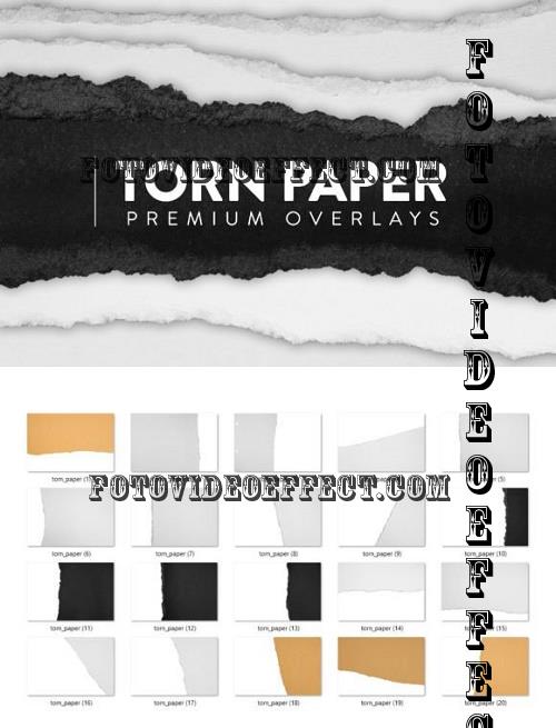 20 Torn Paper Overlay - 10951302