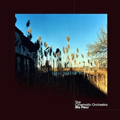The Cinematic Orchestra - Ma Fleur (2007) [FLAC]
