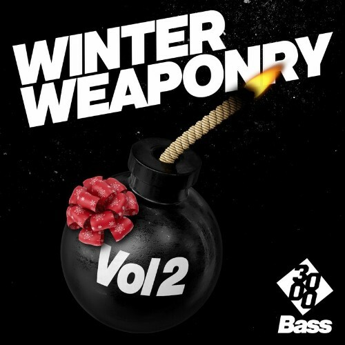 VA - Winter Weaponry Vol. 2 (2022) (MP3)