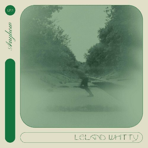 VA - Leland Whitty - Anyhow (2022) (MP3)
