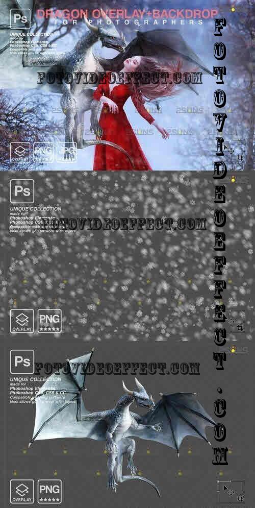 Winter backdrop Dragon overlay - 10956707