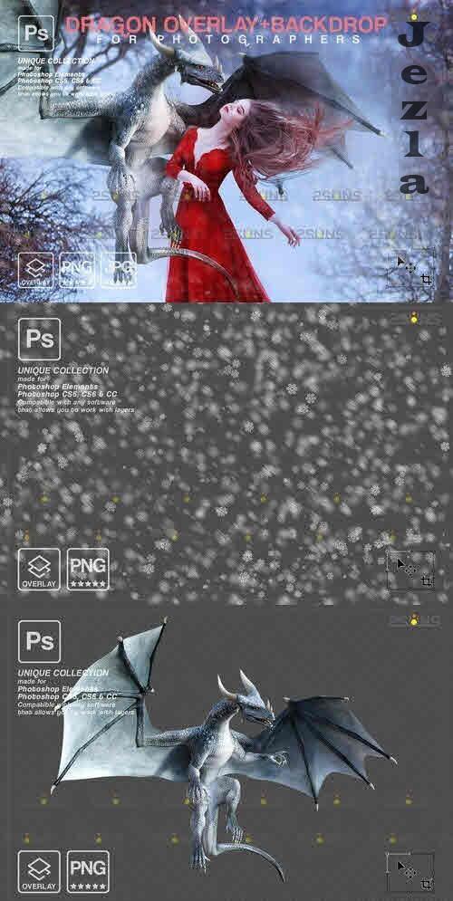 Winter backdrop Dragon overlay - 10956707