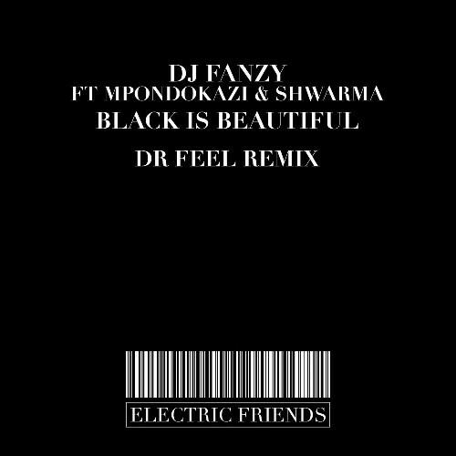 VA - DJ Fanzy feat Mpondokazi x Shwarma - Black Is Beautiful (2022) (MP3)