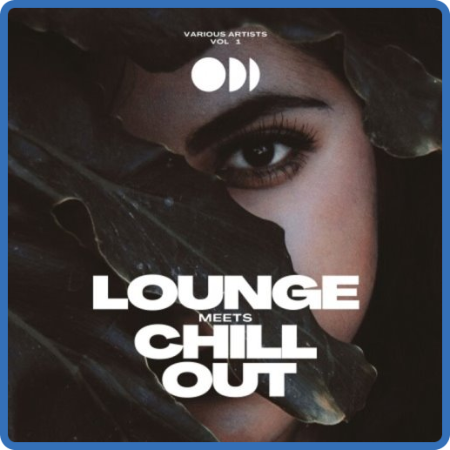 VA - Lounge Meets Chill Out, Vol  1 (2022)