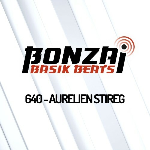 VA - Aurelien Stireg - Bonzai Basik Beats 640 (2022-12-09) (MP3)