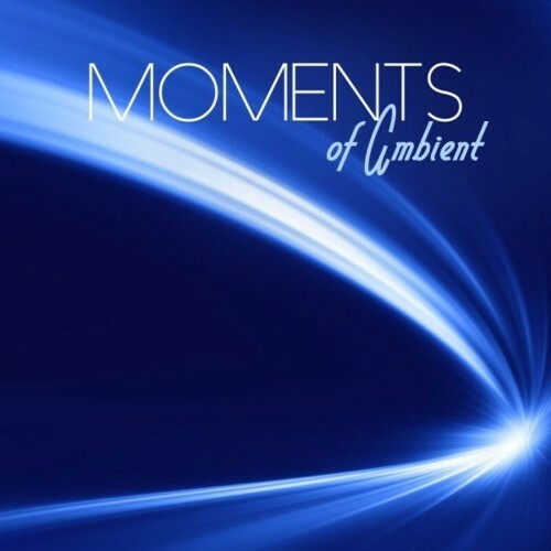 VA - Flymusik - Moments of Ambient (2022) (MP3)