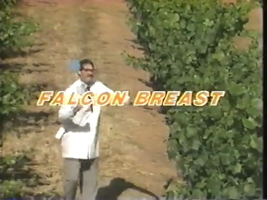 Falcon Breast / Соколиная грудь (Jerome Bronson, CDI Home Video) [1987 г., Feature, VHSRip] (Alicia Monet, Crystal Hart, Nina Hartley, Shanna McCullough, F.M. Bradley, Mike Horner, Peter North) ]