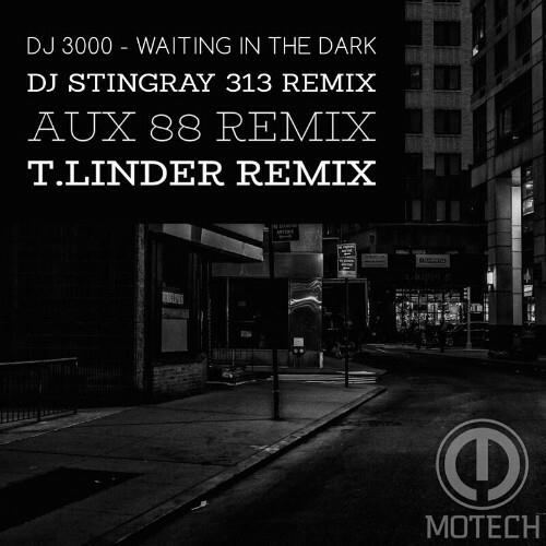 DJ 3000 - Waiting in the Dark (2022)