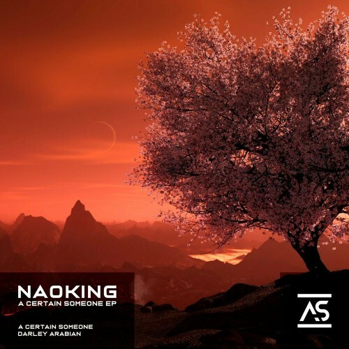 Naoking - A Certain Someone EP (2022)