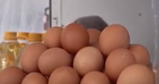 Буде дешевше? Українцям розповіли, як найближчим часом можуть змінитись ціни на яйця