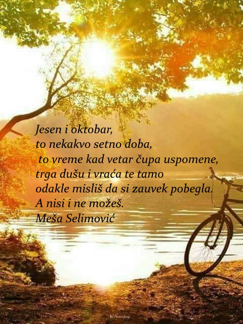 Meša Selimović - Page 7 Afe50bc4e6871d3eb934b9fe27406604