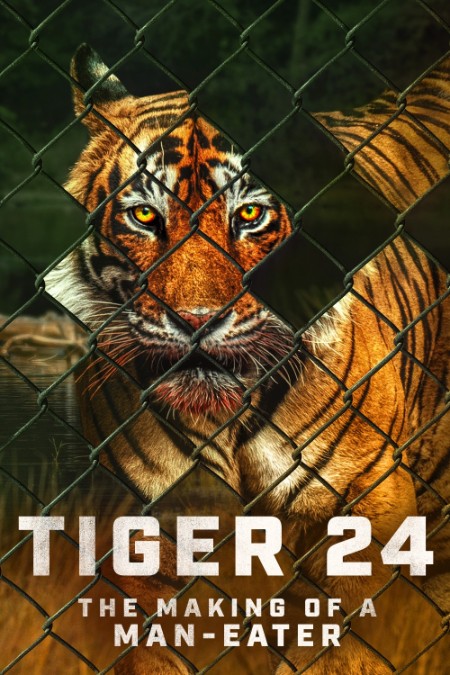 Tiger 24 (2022) 1080p [WEBRip] 5.1 YTS