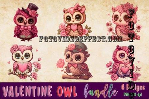 Valentine Owl Clipart Bundle