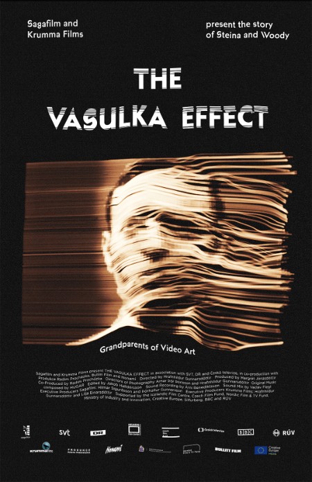 The Vasulka Effect 2019 1080p WEBRip x265-RARBG