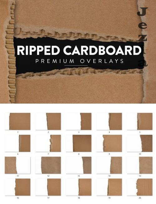 20 Ripped Cardboard Overlay