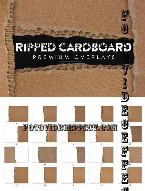 20 Ripped Cardboard Overlay