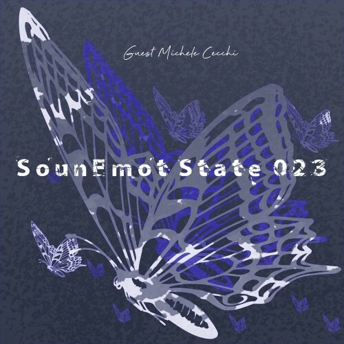 VA - Michele Cecchi & SounEmot State (DJ) - Sounemot State 0233 (2022) (MP3)