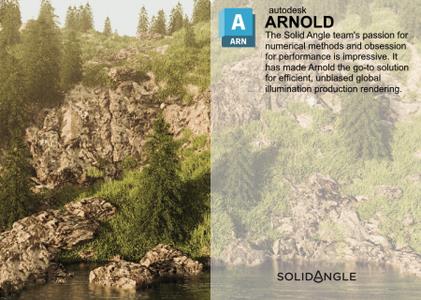 Solid Angle Cinema 4D to Arnold 4.5.0.1 Win x64