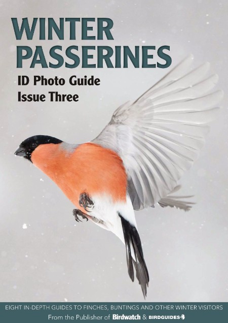 Bird ID Photo Guides – 09 December 2022