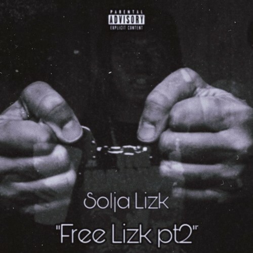 VA - Solja Lizk - Free Lizk, Pt. 2 (2022) (MP3)