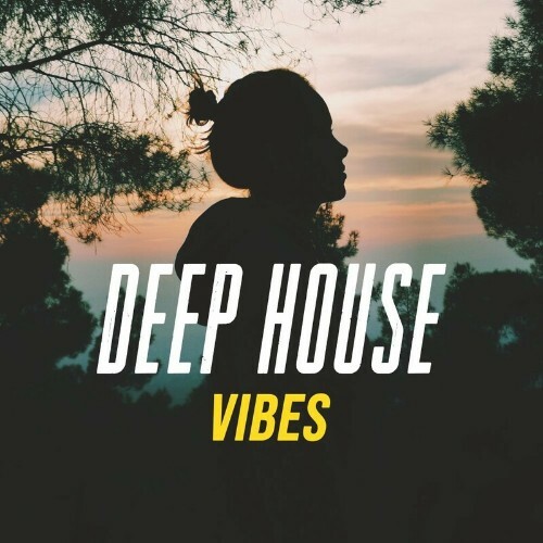VA - Deep Strips - Deep House Vibes (2022) (MP3)