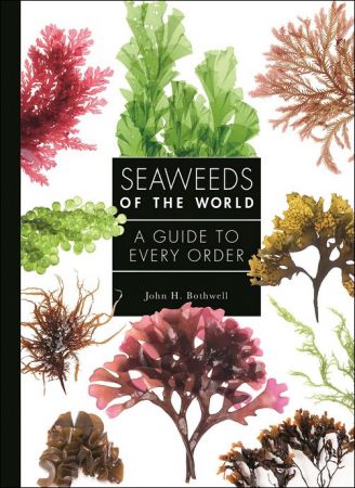 Seaweeds of the World: A Guide to Every Order