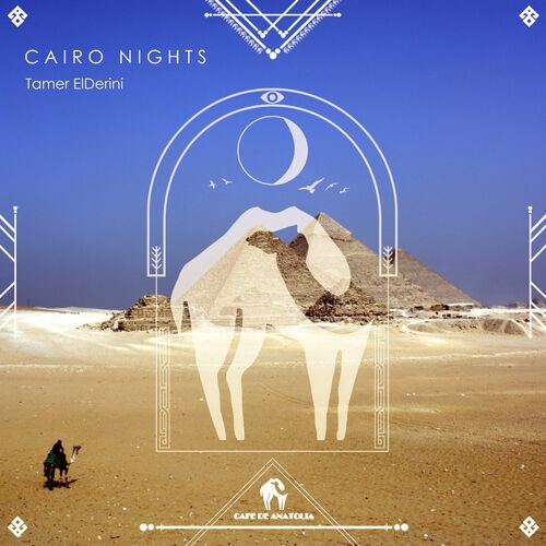 VA - Tamer ElDerini - Cairo Nights (2022) (MP3)