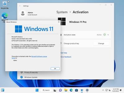 Windows 11 22H2 Build 22621.900 AIO 13in1 (No TPM Required) With Office 2021 Pro Plus Multilingual Preactivated (x64)