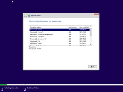 Windows 11 22H2 Build 22621.900 AIO 13in1 (No TPM Required) With Office 2021 Pro Plus Multilingual Preactivated (x64)