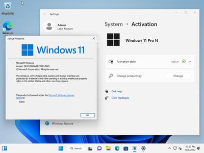 Windows 11 22H2 Build 22621.900 AIO 13in1 (No TPM Required) Multilingual Preactivated (x64)