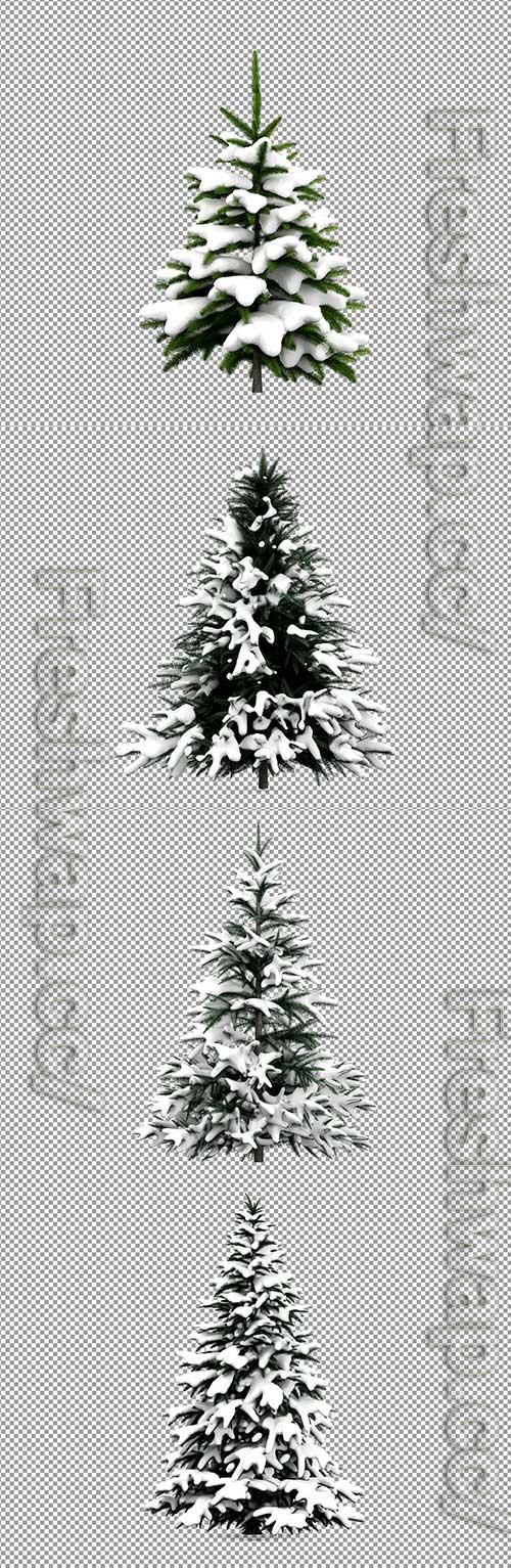 PSD beautiful Christmas tree in snow in 3d rendering isolated