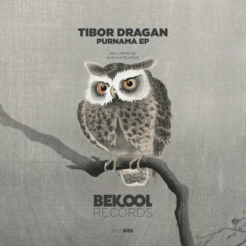 VA - Tibor Dragan - Purnama (2022) (MP3)