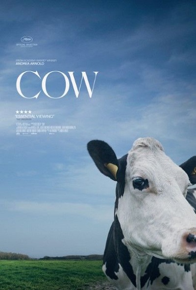 BBC - Cow (2021)