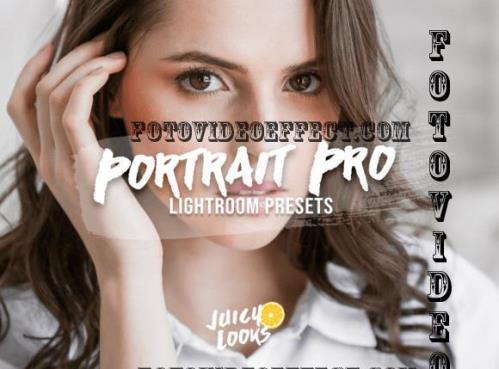 7 Portrait Professional Preset Lightroom