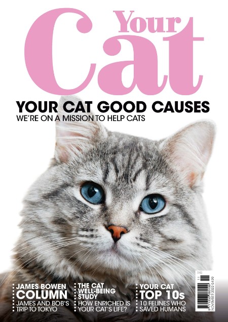 Your Cat – November 2022
