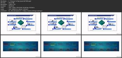 Sap Mm - Procure To Pay  Cycle 0d60e631a80e081234667c38c29ed19e