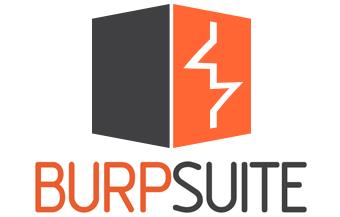 Burp Suite Professional  2022.12.4 Ef1fe61c30f3839521aaab82b6f87188